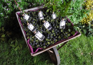 blackberry-and-bay-jo-malone